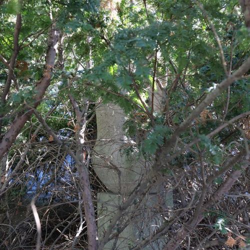 Ondřej Surový, 04/2019