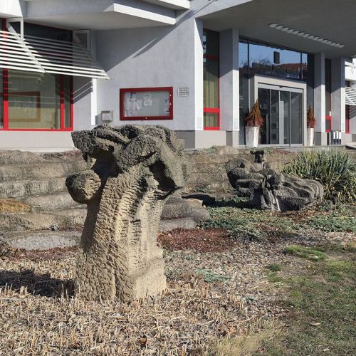 Ondřej Surový, 02/2019