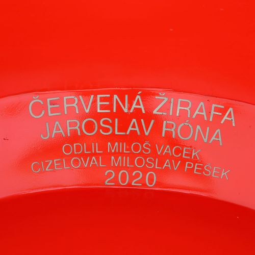 Ondřej Surový, 11/2020