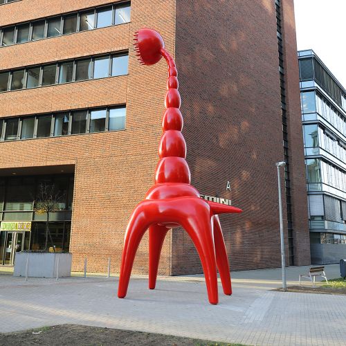 Ondřej Surový, 11/2020