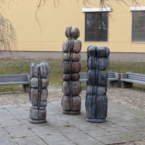 Ondřej Surový, 01/2020