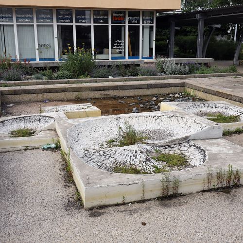 Ondřej Surový, 06/2020