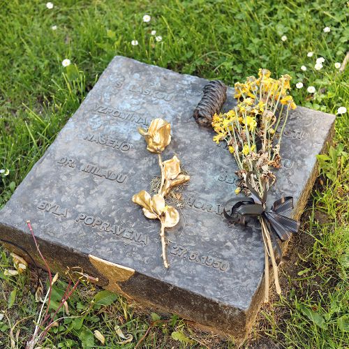 Ondřej Surový, 06/2021