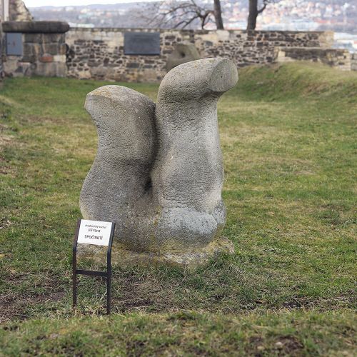 Ondřej Surový, 03/2021