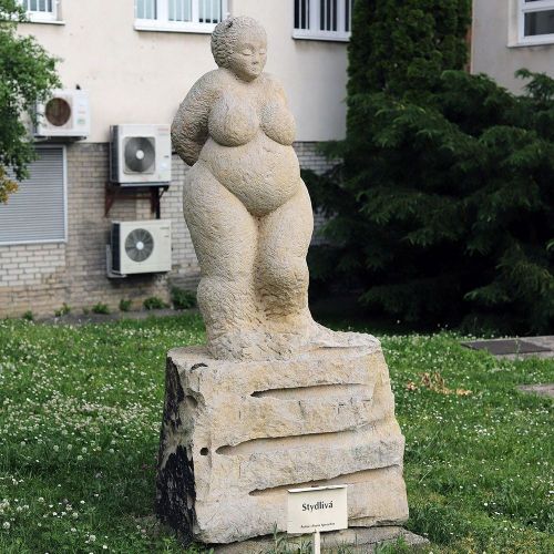 Ondřej Surový, 06/2021