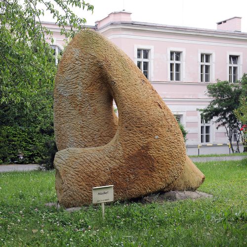 Ondřej Surový, 06/2021