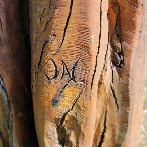 Ondřej Surový, 06/2021