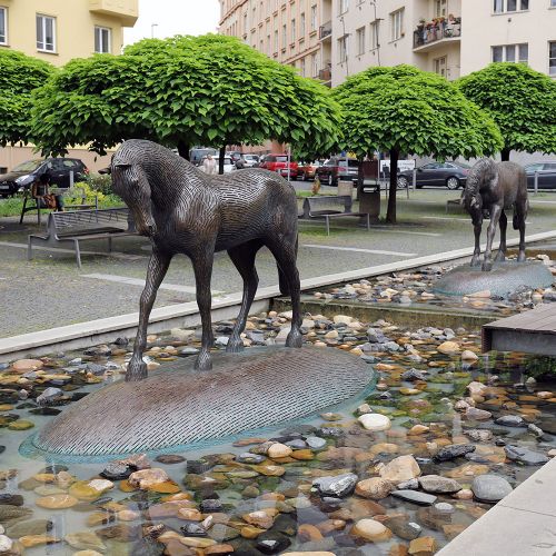 Ondřej Surový, 06/2021