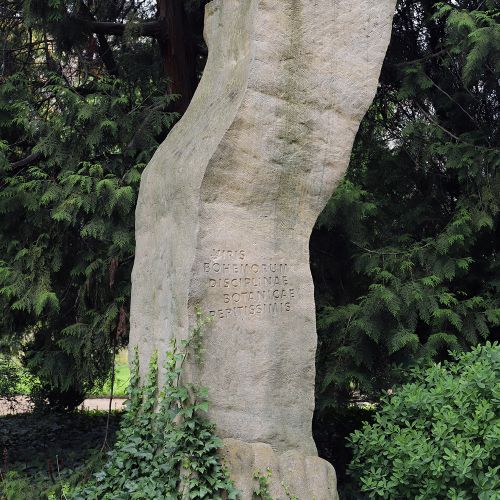 Ondřej Surový, 07/2021