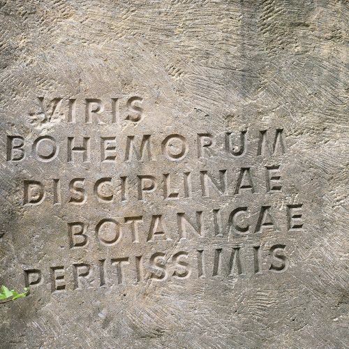 Ondřej Surový, 07/2021