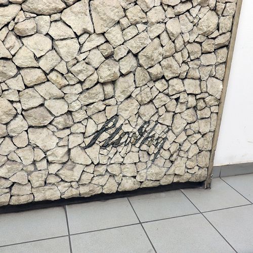 Ondřej Surový, 10/2019