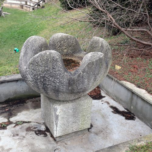 Ondřej Surový, 02/2020