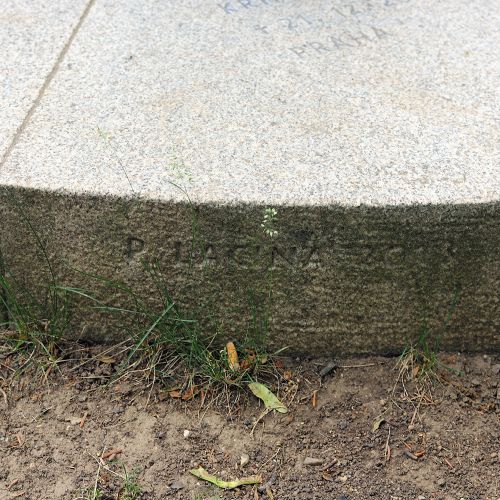 Ondřej Surový, 05/2022