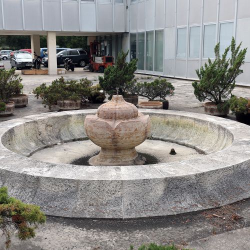 Ondřej Surový, 07/2019