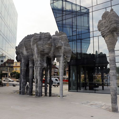 Ondřej Surový, 07/2022