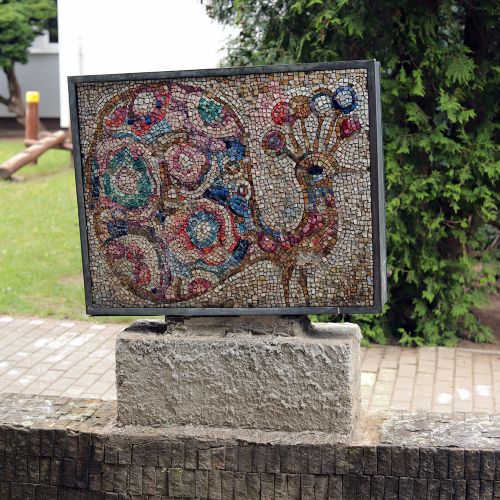 Ondřej Surový, 06/2020