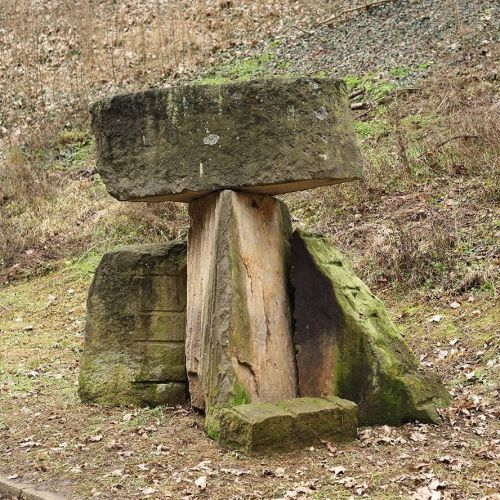 Ondřej Surový, 12/2022