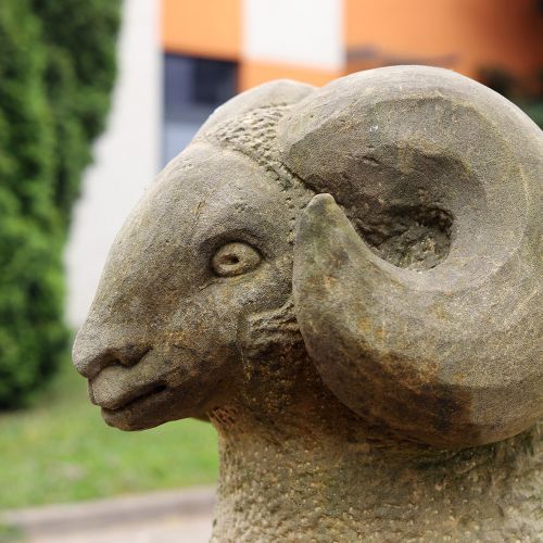 Ondřej Surový, 06/2023