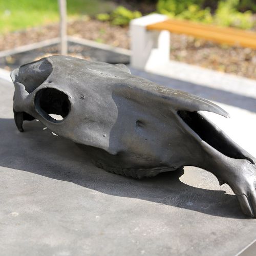 Ondřej Surový, 07/2023