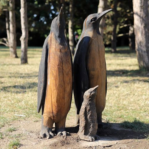 Ondřej Surový, 07/2023