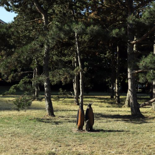 Ondřej Surový, 07/2023