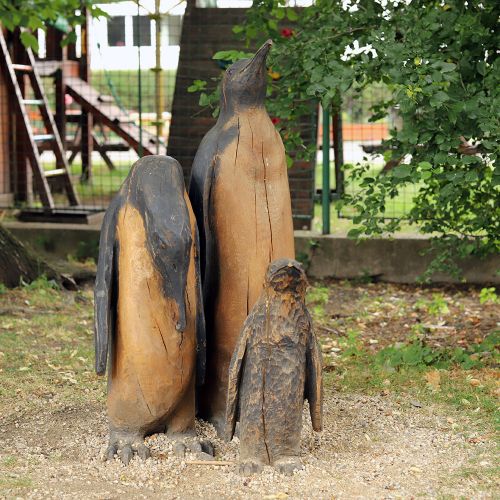 Ondřej Surový, 07/2023