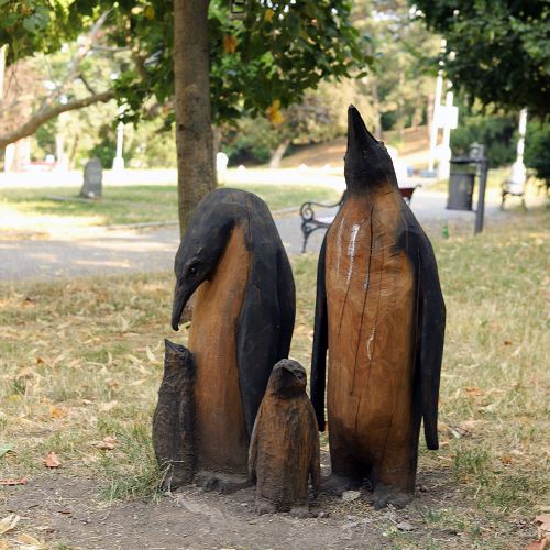 Ondřej Surový, 07/2023