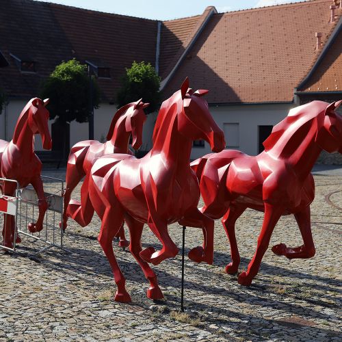 Ondřej Surový, 07/2023