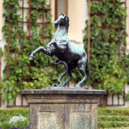 Ondřej Surový, 08/2023