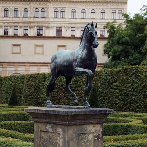 Ondřej Surový, 08/2023