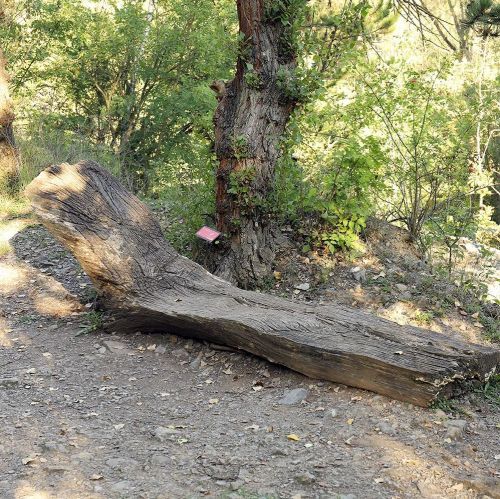 Ondřej Surový, 09/2023