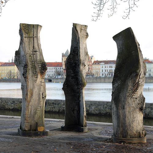 Ondřej Surový, 12/2023