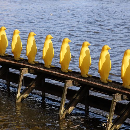 Ondřej Surový, 12/2023