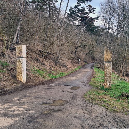 Ondřej Surový, 02/2024