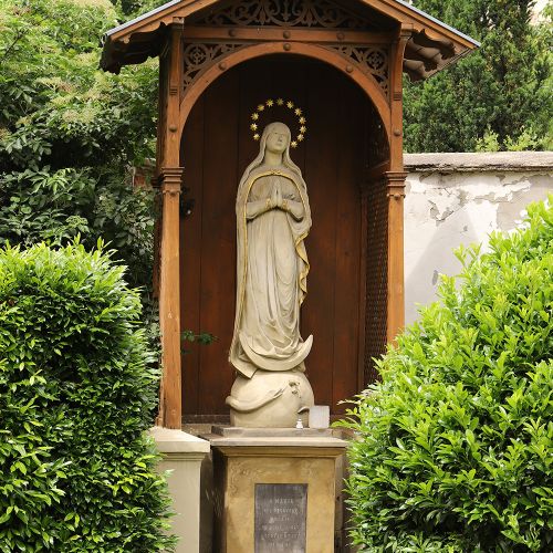 Ondřej Surový, 06/2024