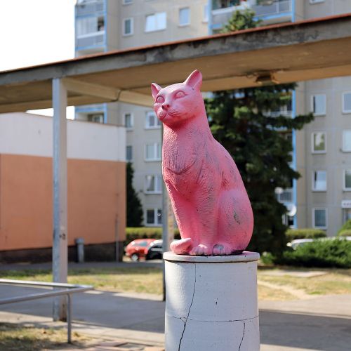 Ondřej Surový, 08/2018