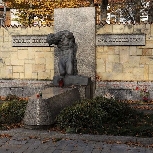 Ondřej Surový, 11/2020