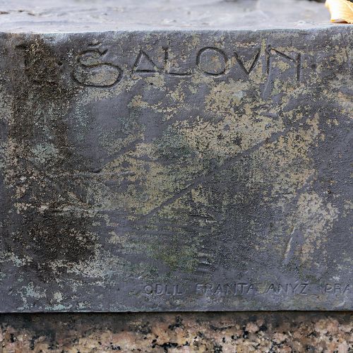 Ondřej Surový, 11/2020