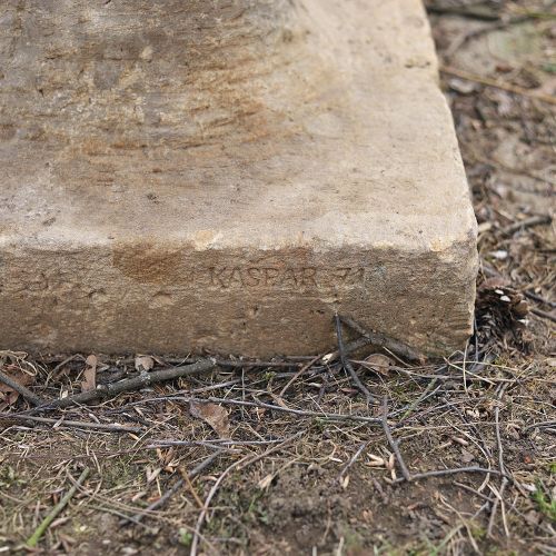 Ondřej Surový, 02/2019