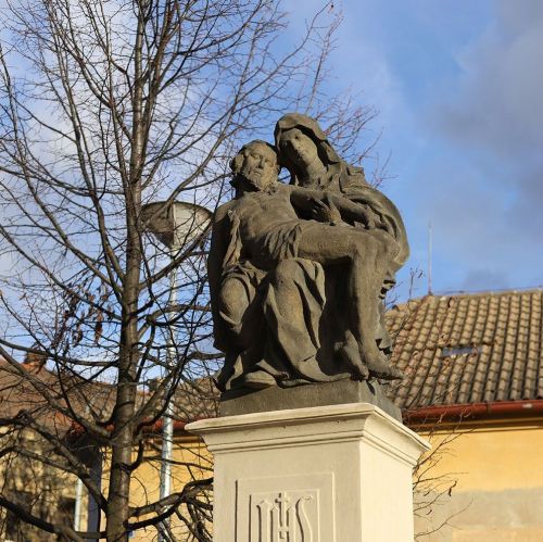 Ondřej Surový, 11/2020