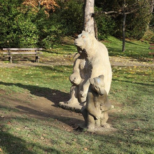 Ondřej Surový, 11/2020