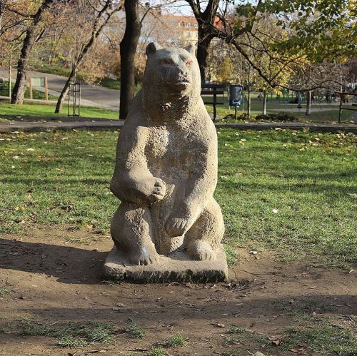 Ondřej Surový, 11/2020