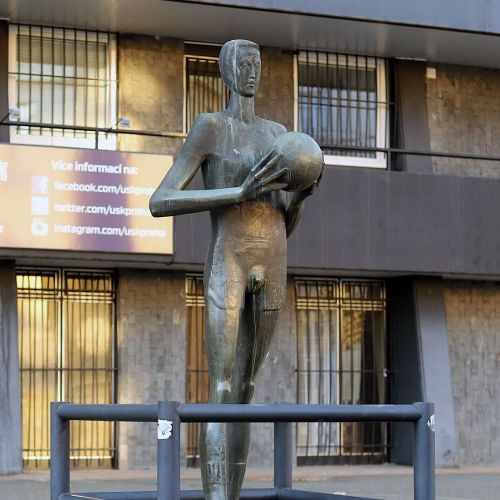 Ondřej Surový, 02/2019