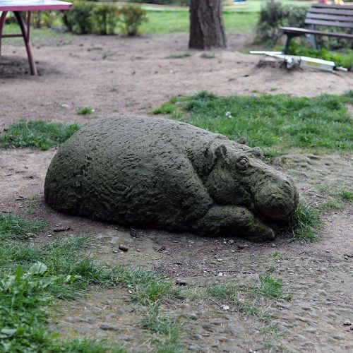 Ondřej Surový 10/2019