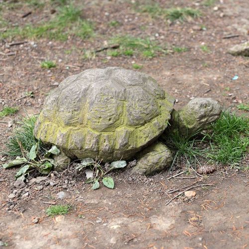 Ondřej Surový 10/2019