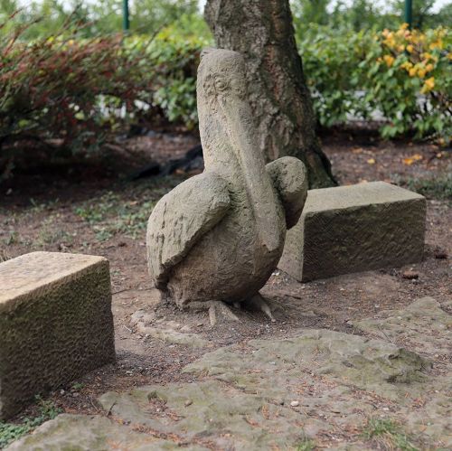 Ondřej Surový 10/2019