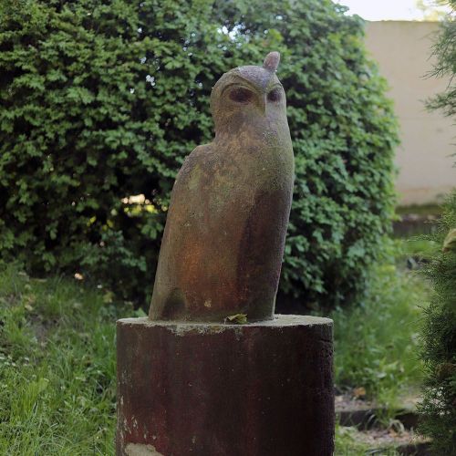 Ondřej Surový, 06/2019