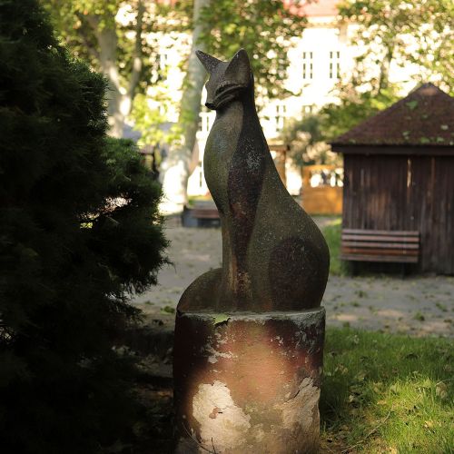 Ondřej Surový, 06/2019