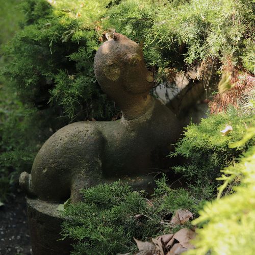 Ondřej Surový, 06/2019